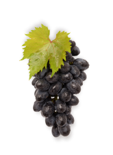 Grapes_2