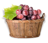 grapes_basket